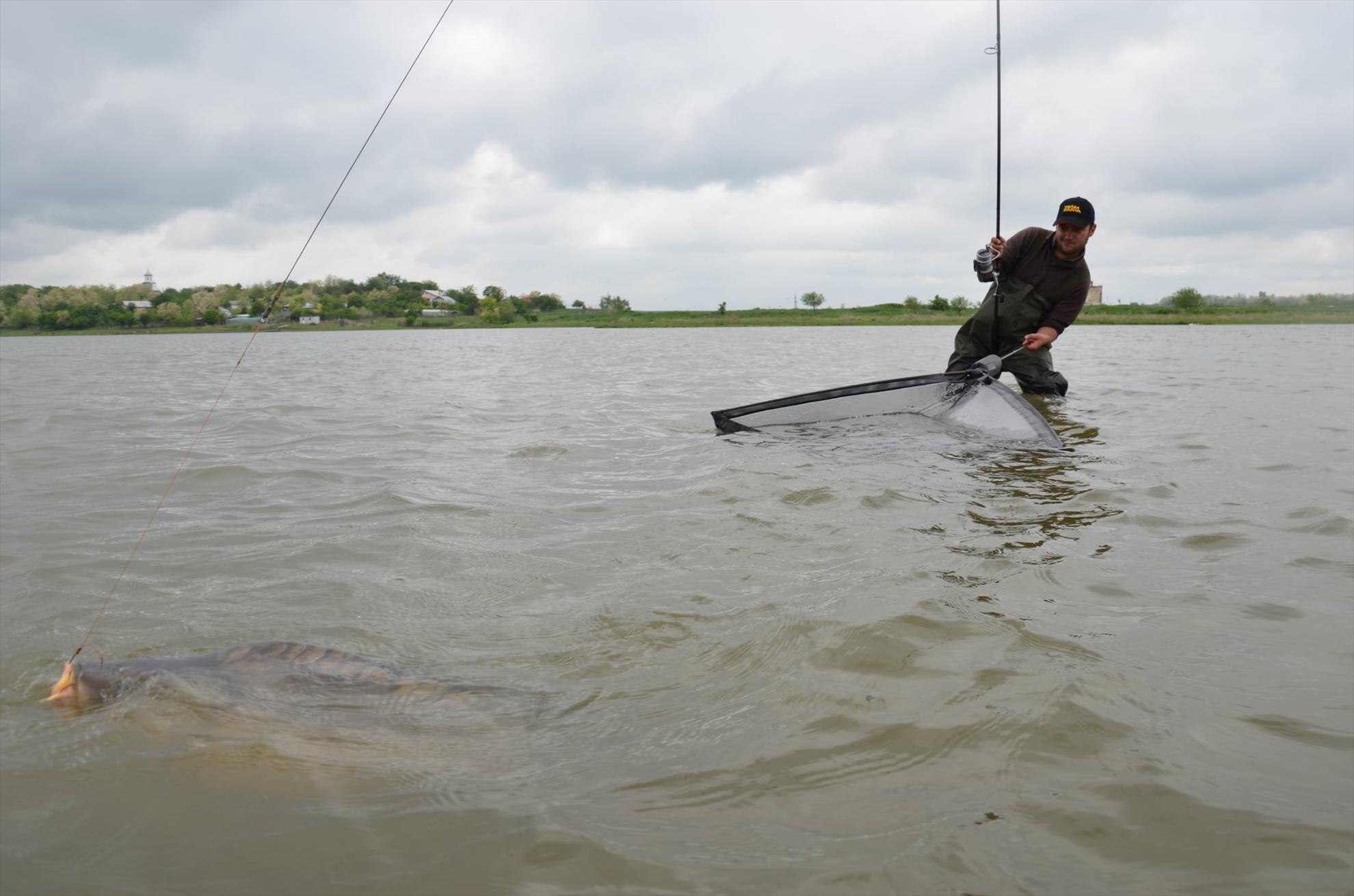 crapi de sarulesti - 13996606541942879748871304533794o.jpg